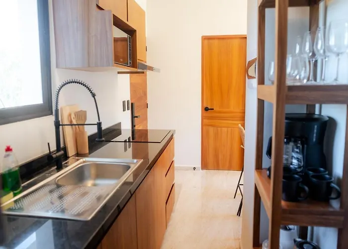 Ph 3br Jacuzzi Club Pass Apartment Tulum